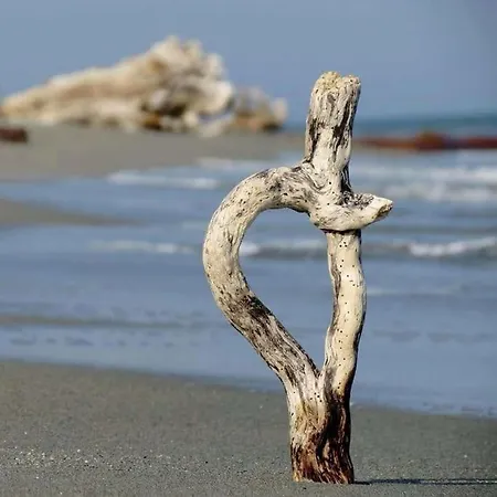 Campo Vecchio Sole Et Piscine