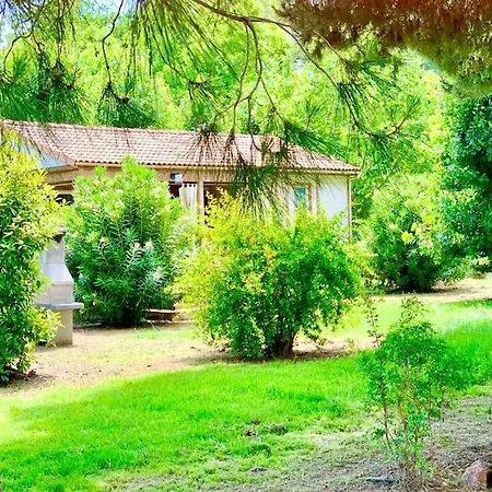 Dağ evi Campo Vecchio Sole Et Piscine Ghisonaccia