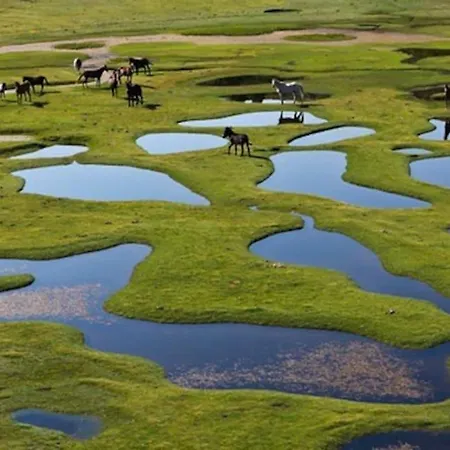 Chalet Campo Vecchio Sole Et Piscine