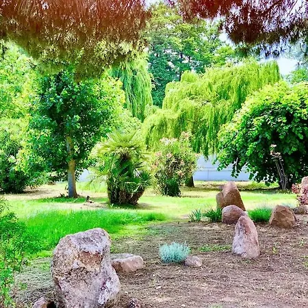 Campo Vecchio Sole Et Piscine Chalet *
