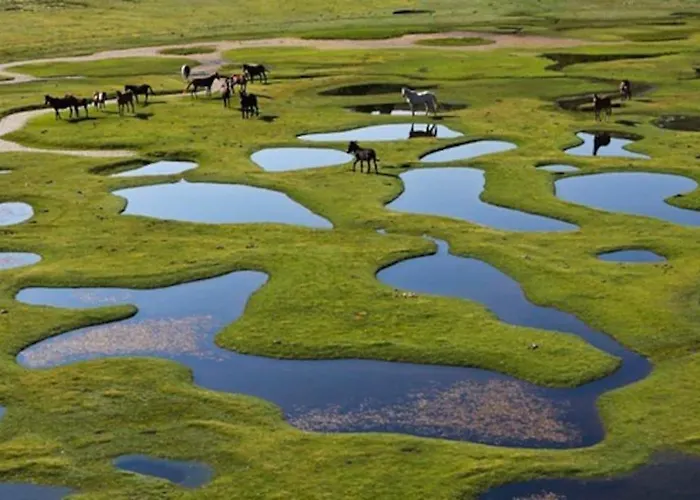 Alpehytte Campo Vecchio Sole Et Piscine
